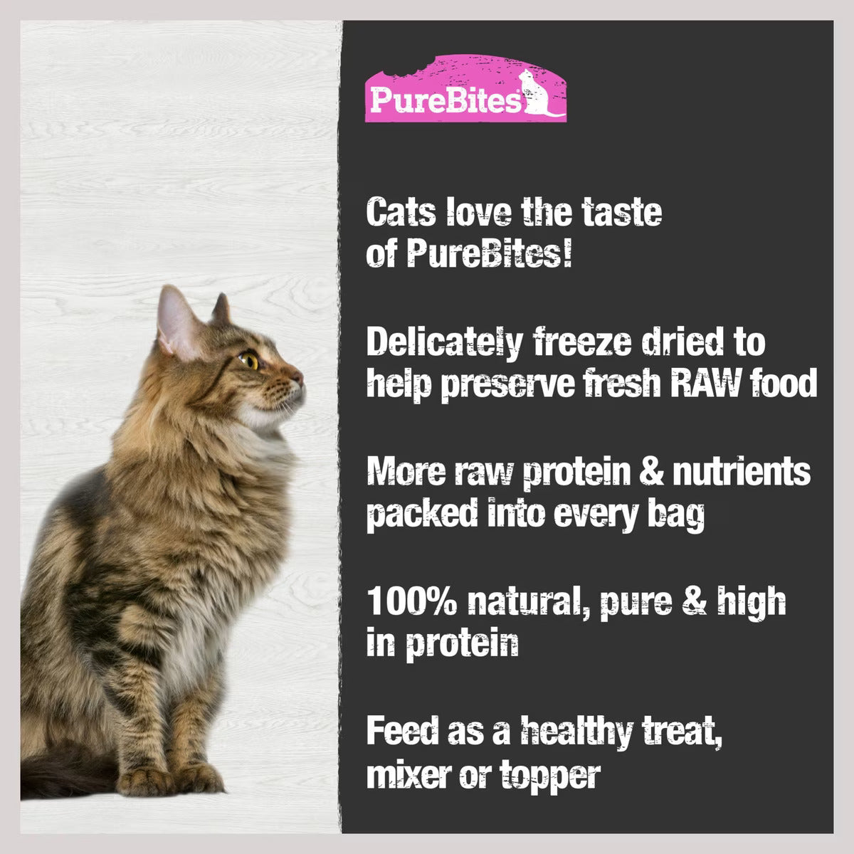 PURE BITES Freeze Dried Salmon Cat Treats  .92oz