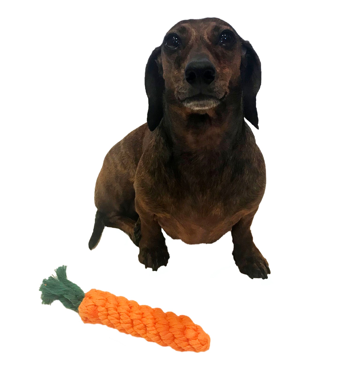 Midlee Rope Carrot Easter Dog Toys