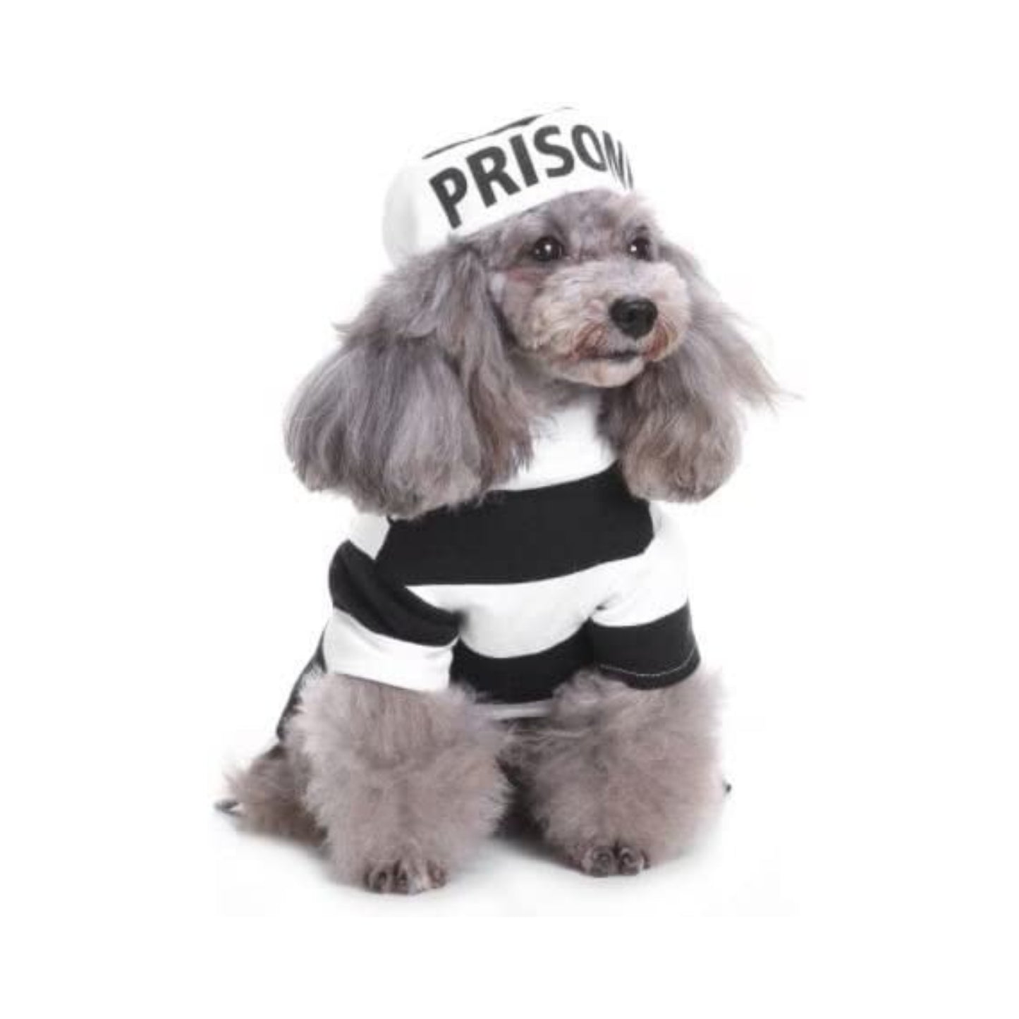 Midlee Inmate Dog Costume