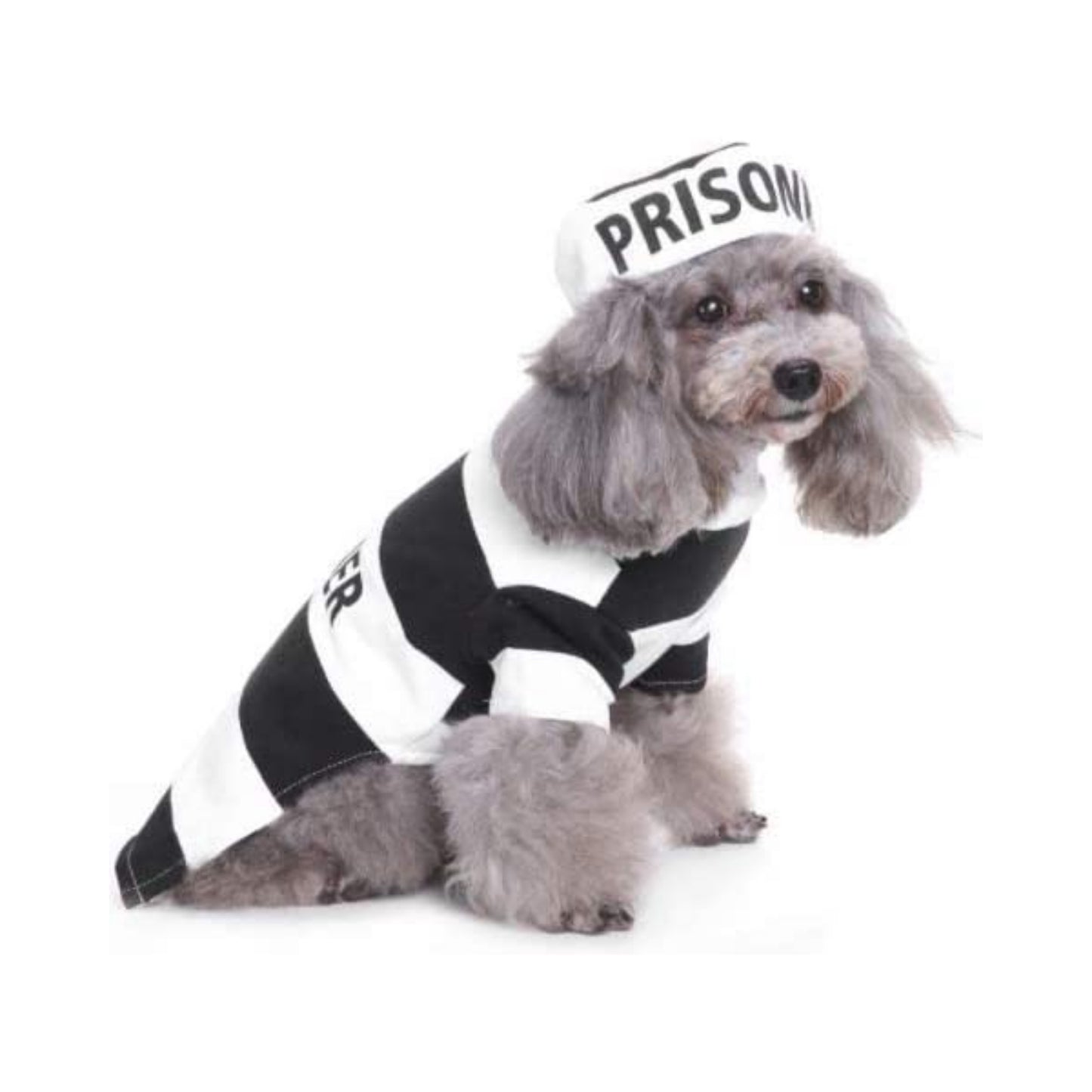 Midlee Inmate Dog Costume