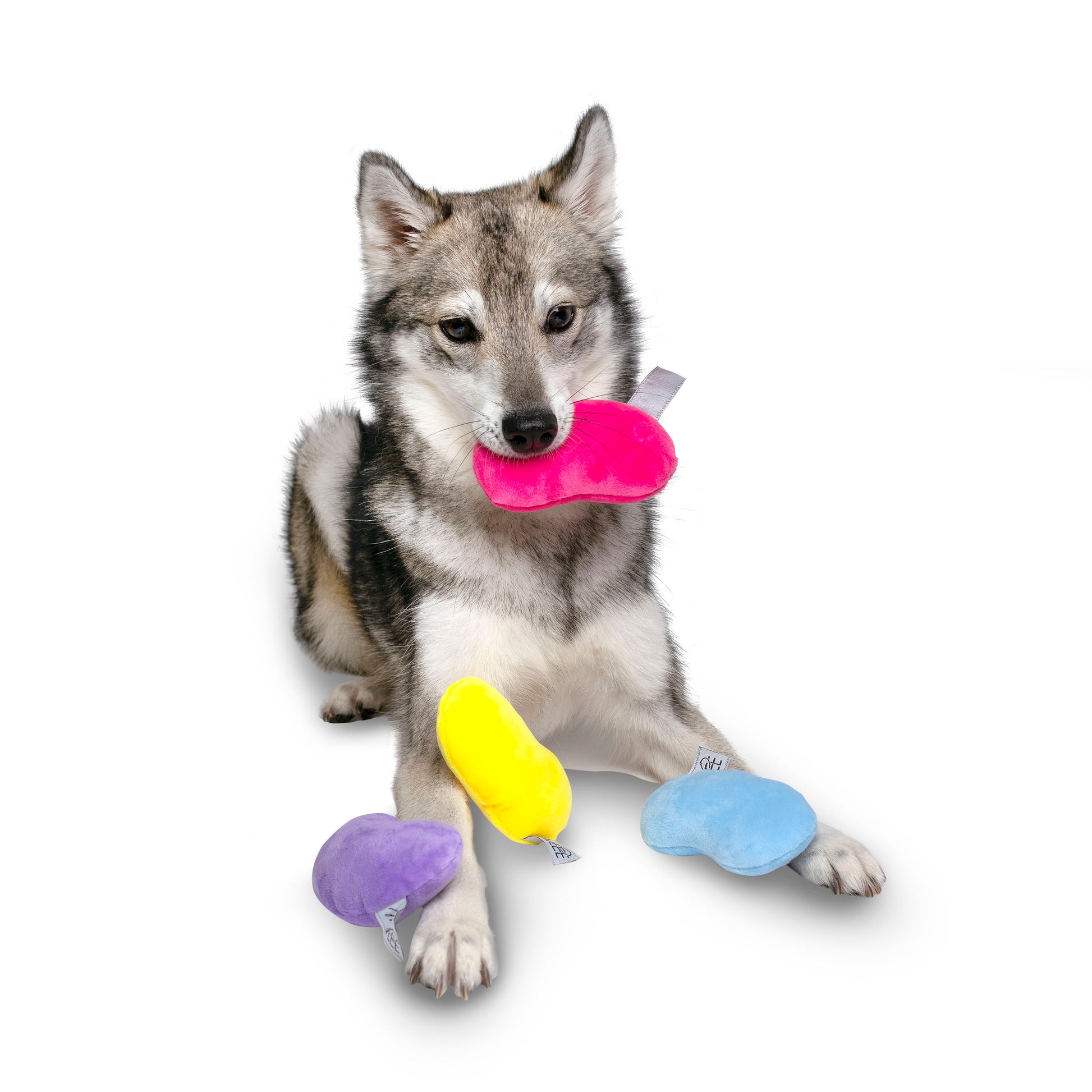 Midlee Jelly Bean Easter Dog Toy- Set of 4 – Midlee Designs