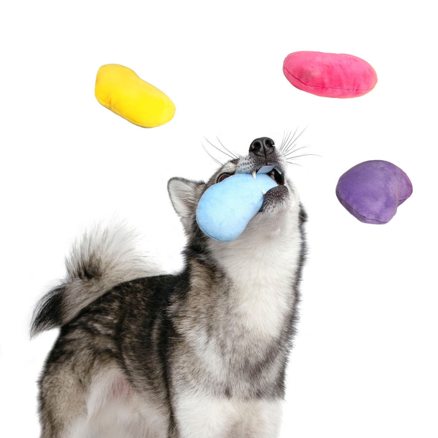 Midlee Jelly Bean Easter Dog Toy- Set of 4