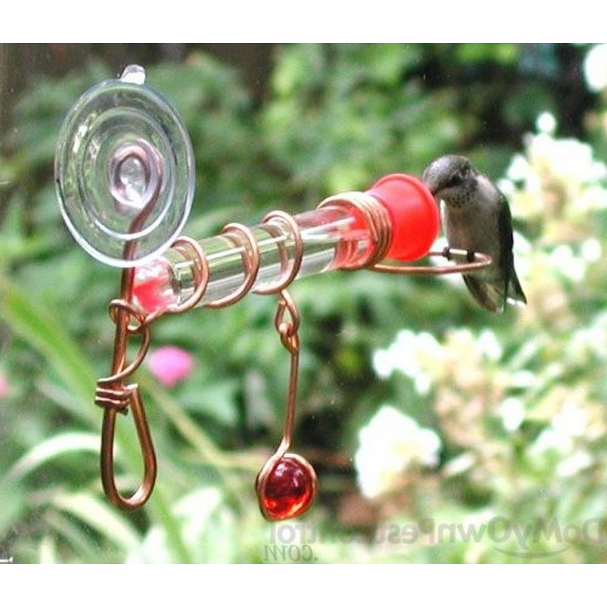 Songbird Essentials Clear/Copper Window Wonder 1 Hummingbird Tube Feeder - 6"