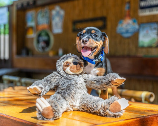 Fluff and Tuff Sonny Sloth Dog Toy