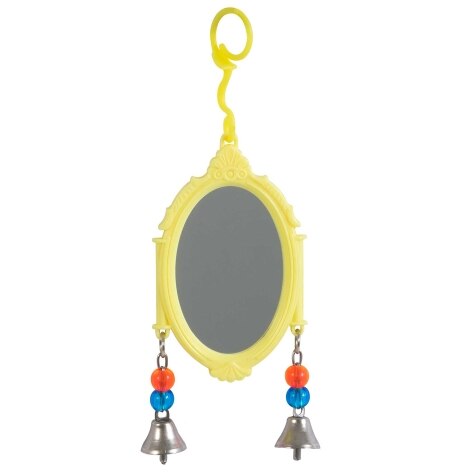 JW Insight Fancy Mirror Bird Toy - Assorted