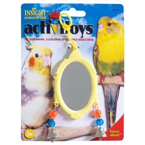 JW Insight Fancy Mirror Bird Toy - Assorted