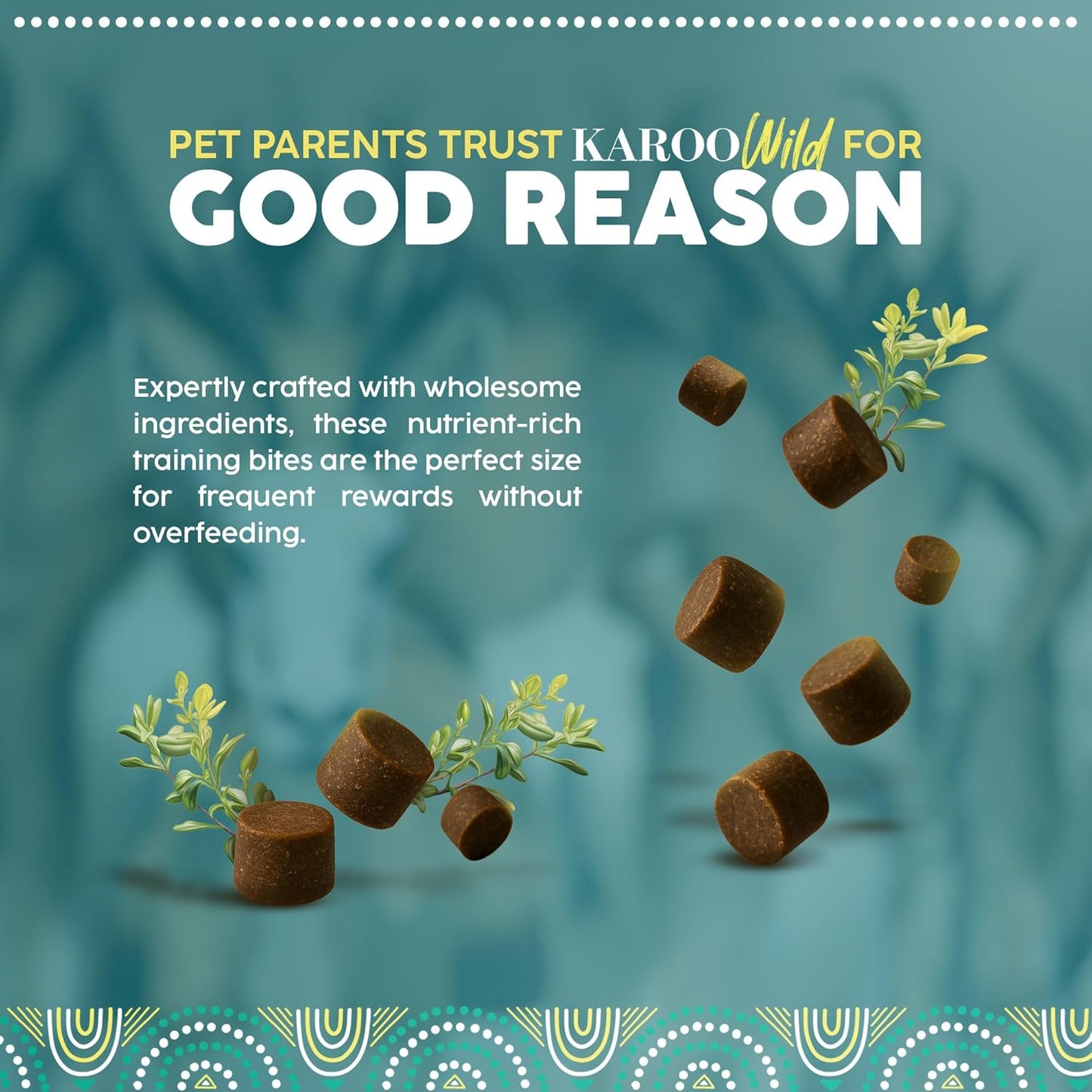 Karoo Wild Training Bits Thyme Seasoned Treats for Dogs – 4 oz