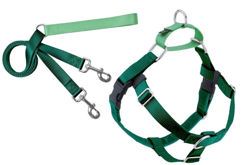 2 Hounds Design Freedom No-Pull Dog Harness Training Package, Large, Kelly Green