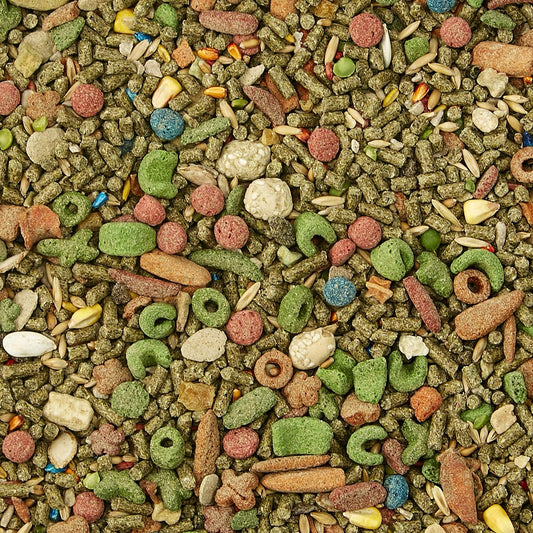 Kaytee Fiesta Max Guinea Pig Food - 4.5 lbs