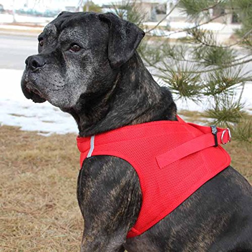 American River Choke Free Reflective Dog Harness, Red, Large