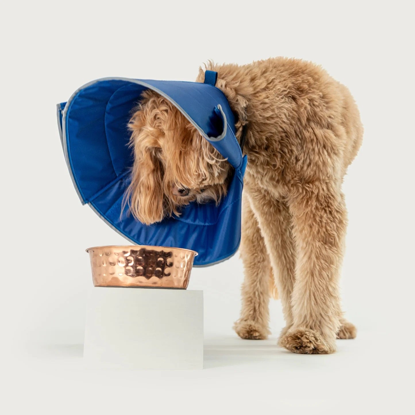 KVP International Calmer Collar - Large