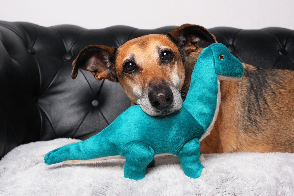 Fluff and Tuff Ross Brachiosaurus Plush Dog Toy