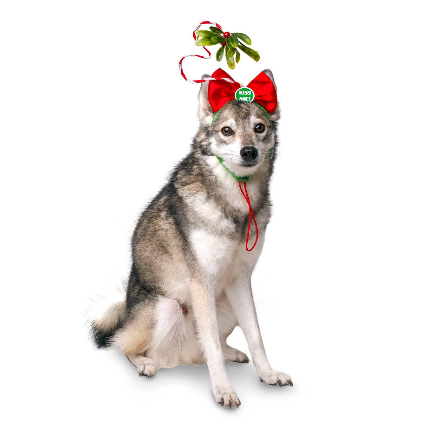 Midlee Christmas Mistletoe Dog Headband Costume