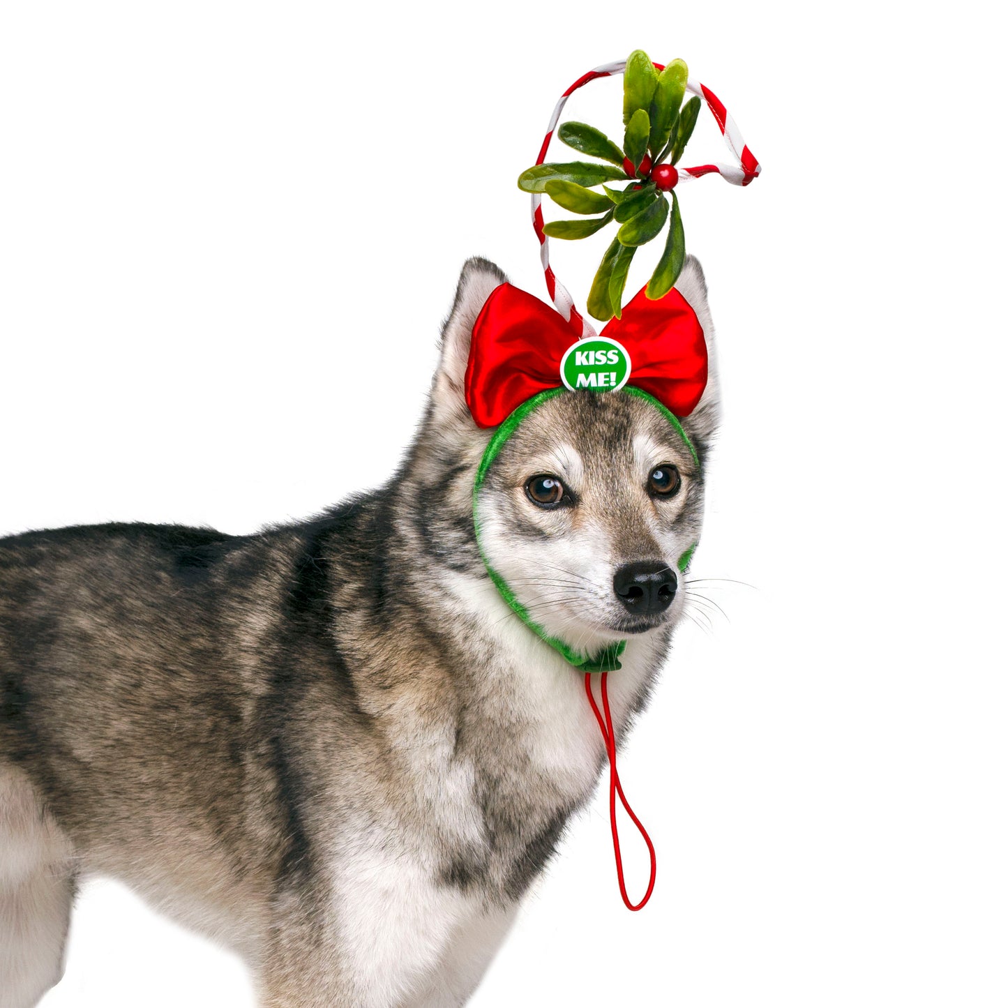 Midlee Christmas Mistletoe Dog Headband Costume