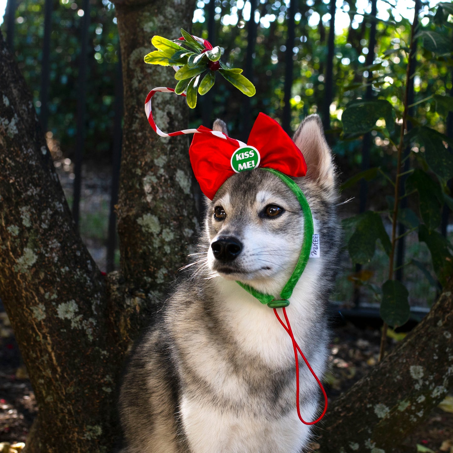 Midlee Christmas Mistletoe Dog Headband Costume