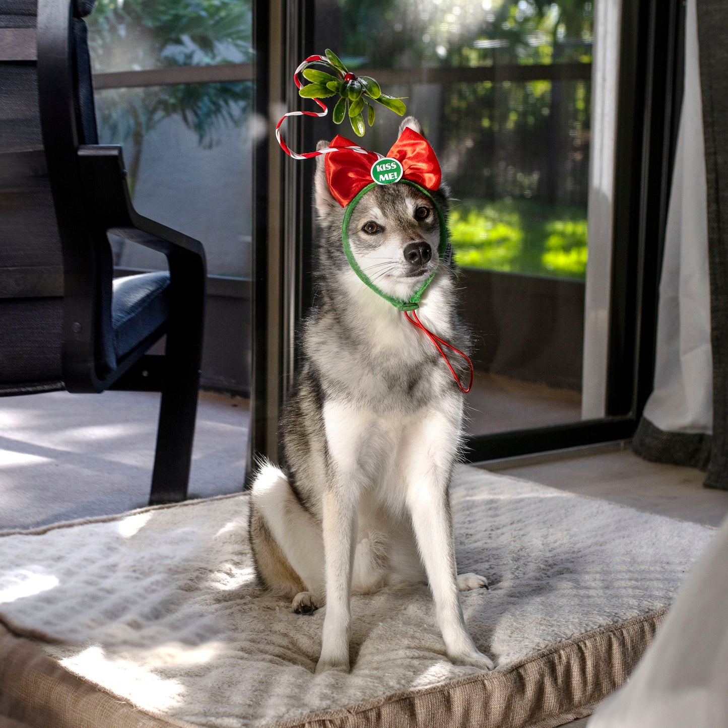 Midlee Christmas Mistletoe Dog Headband Costume