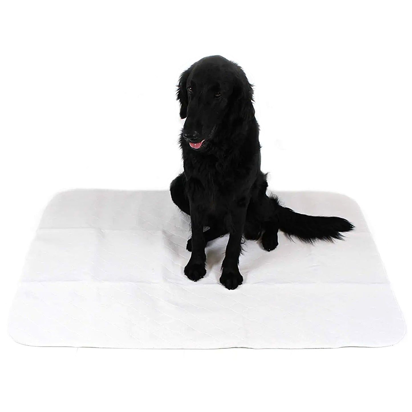Midlee Reusable & Washable Dog Training Absorbent Pee Pads Pack of 3