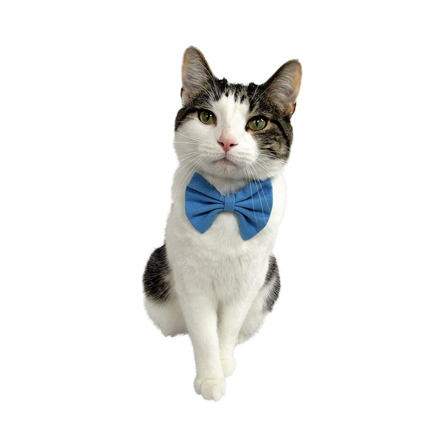 Midlee Bow Tie Cat Collar Canvas