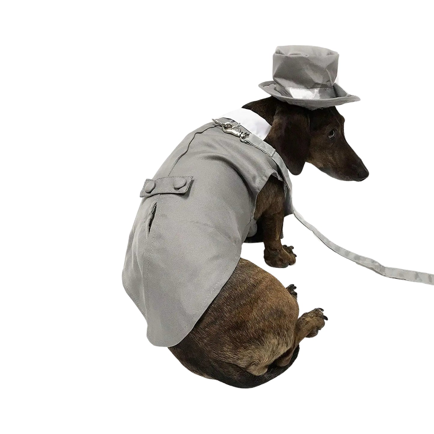 Midlee Dog Tuxedo Wedding Suit- Gray Top Hat & Leash