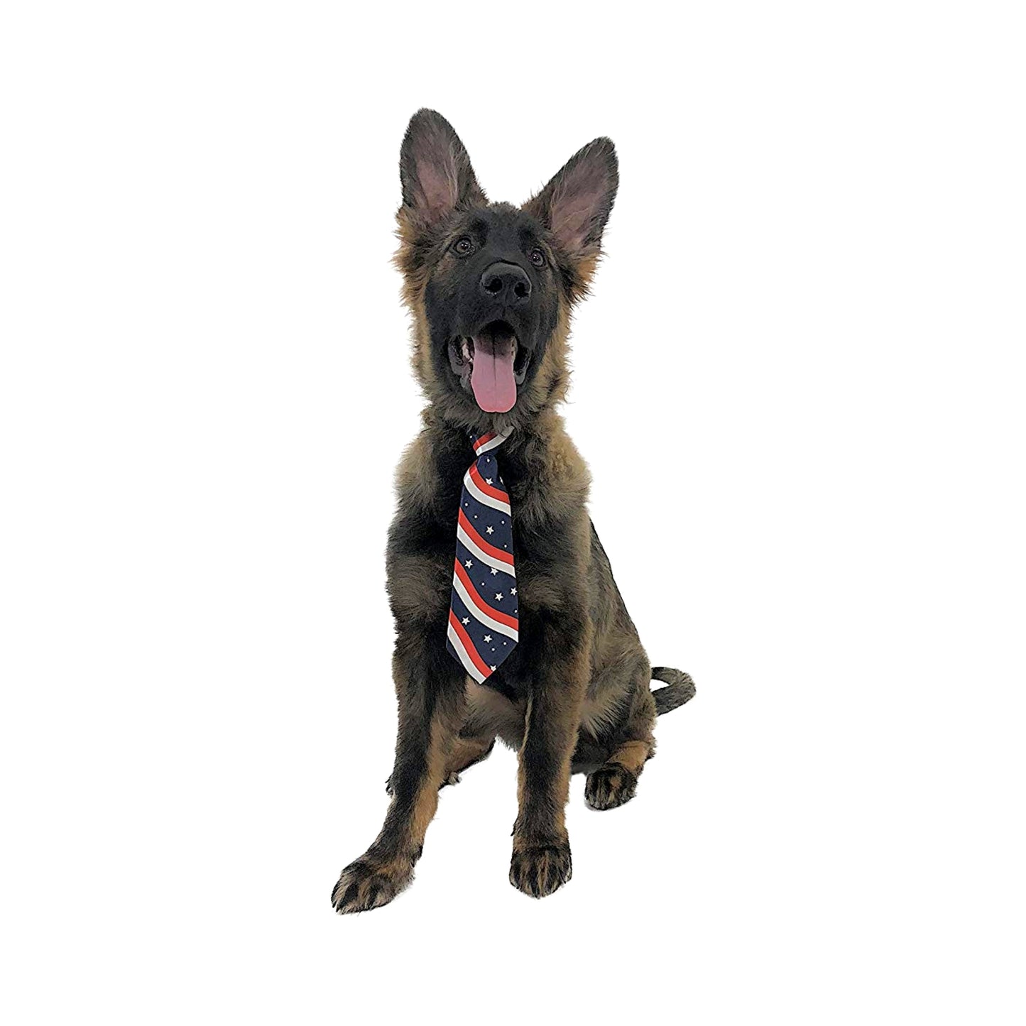 Midlee USA Flag Dog Tie for Large Dogs