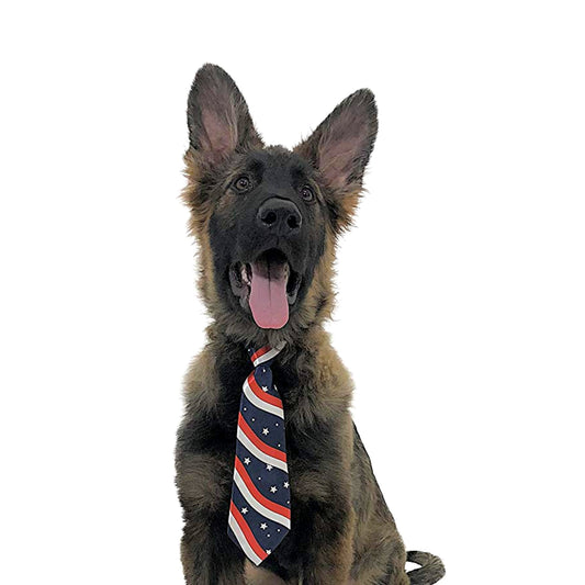 Midlee USA Flag Dog Tie for Large Dogs
