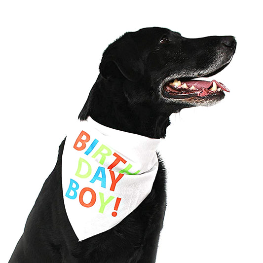 Midlee Birthday Boy Dog Bandana (Large)