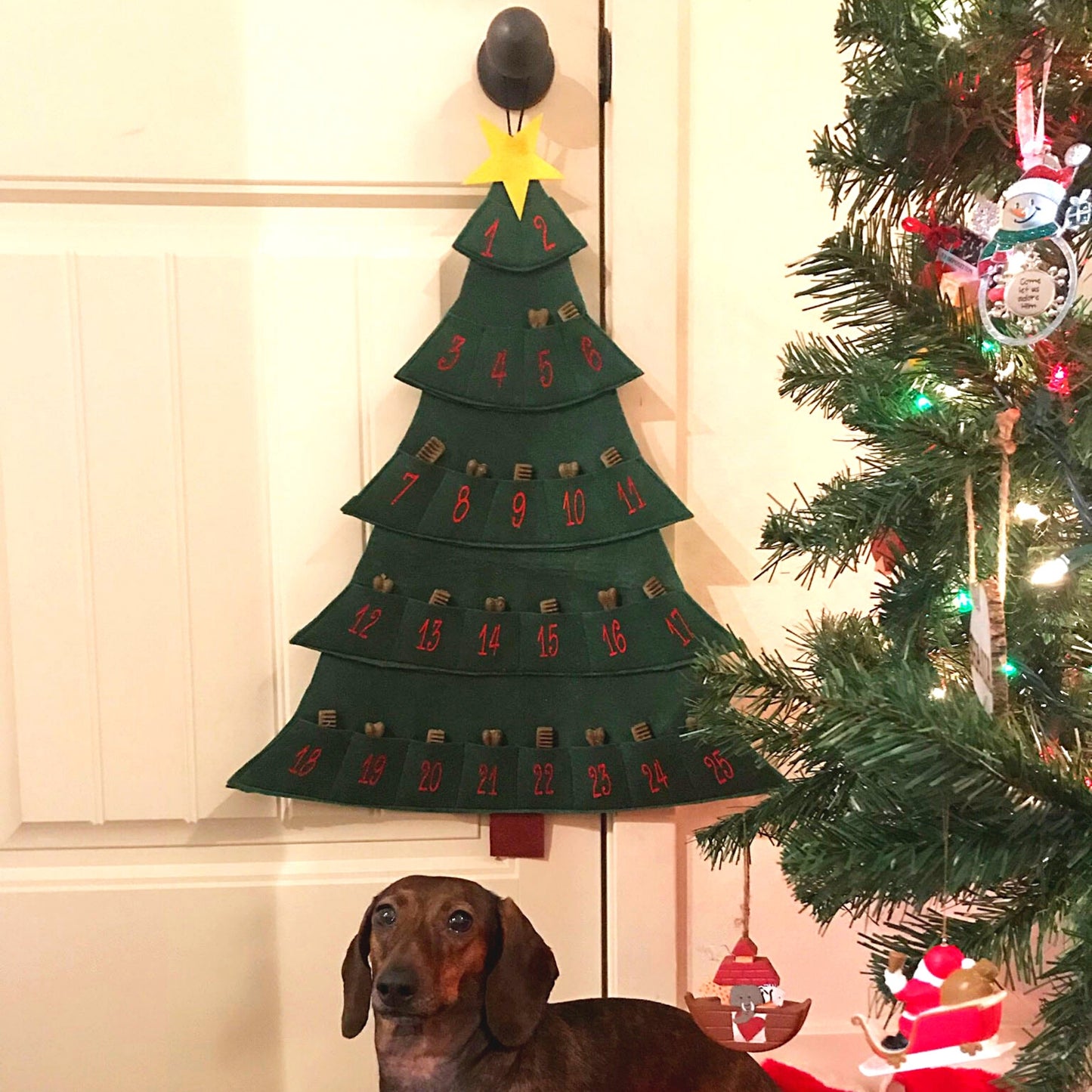 Midlee Christmas Tree Advent Calendar for Dogs (25" x 19")