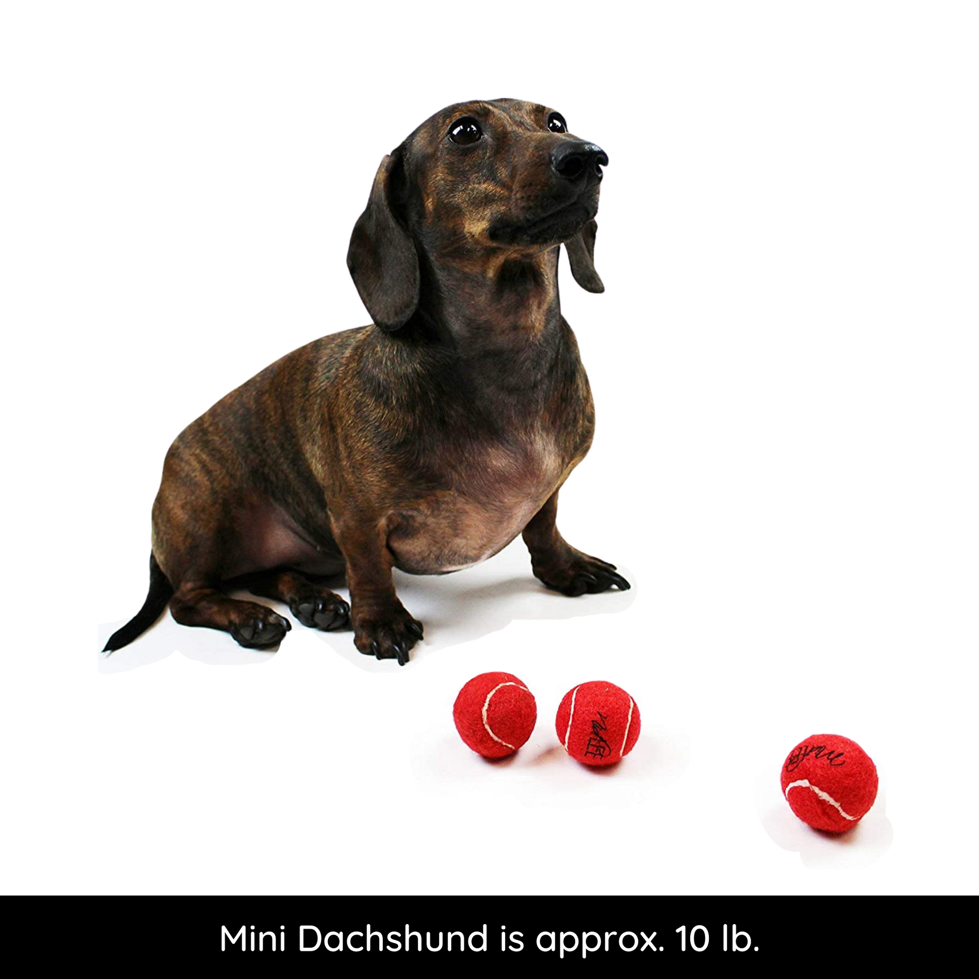 Midlee X Small Dog Tennis Balls 1.5 Pack of 12 Red 1.5 inch Set of Midlee Designs