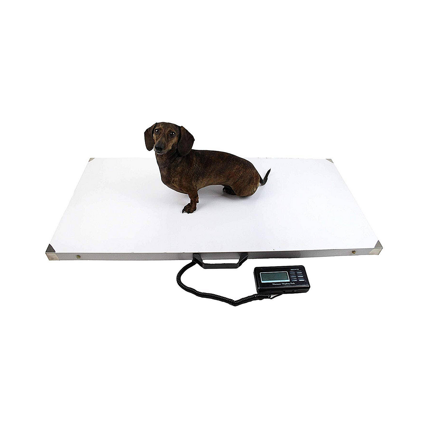 Midlee Dog Stainless Steel Pet Scale 43"x20", 660lb limit