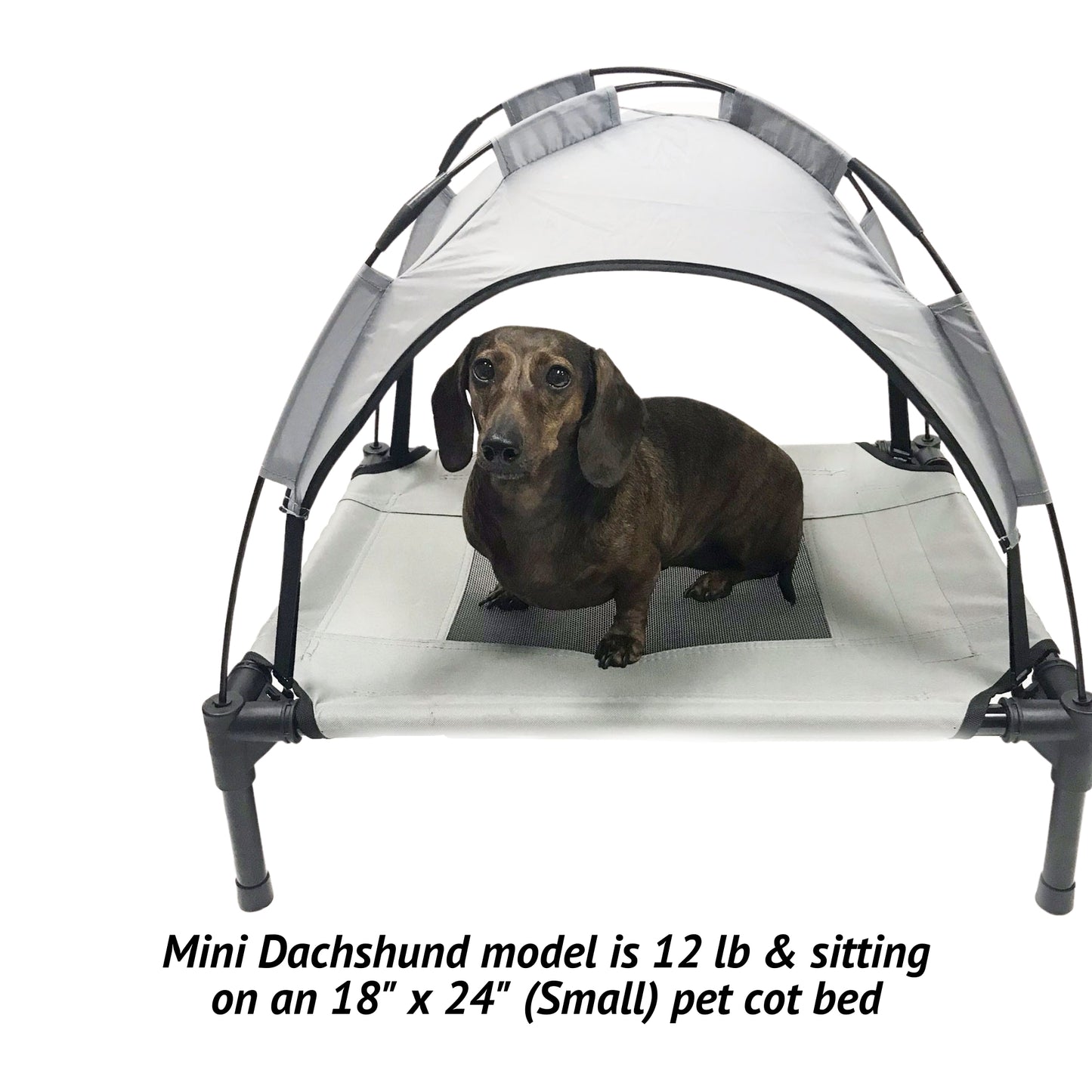 Midlee Grey Dog Cot with Canopy Elevated Pet Bed
