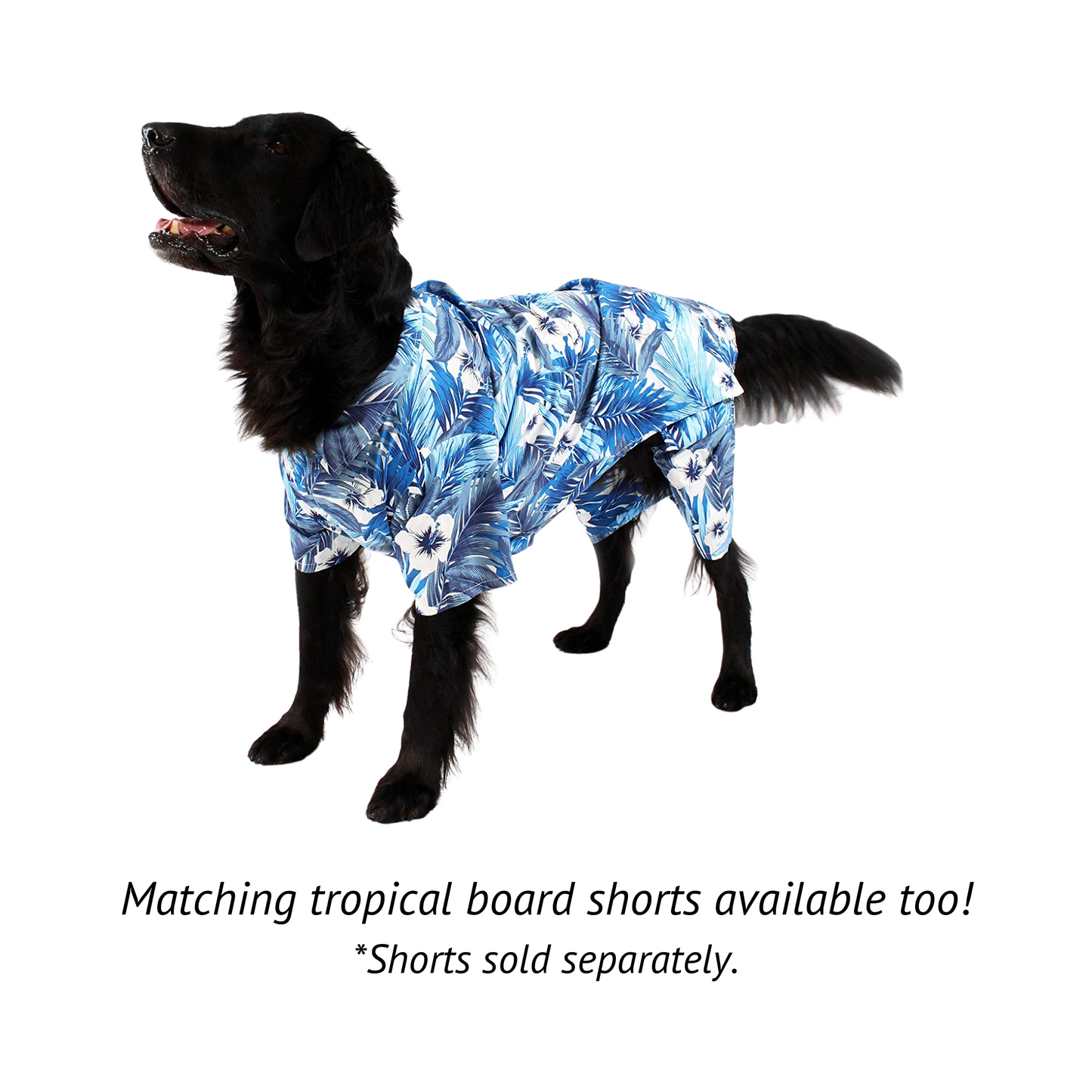 Midlee Blue Hawaiian Dog Shirt
