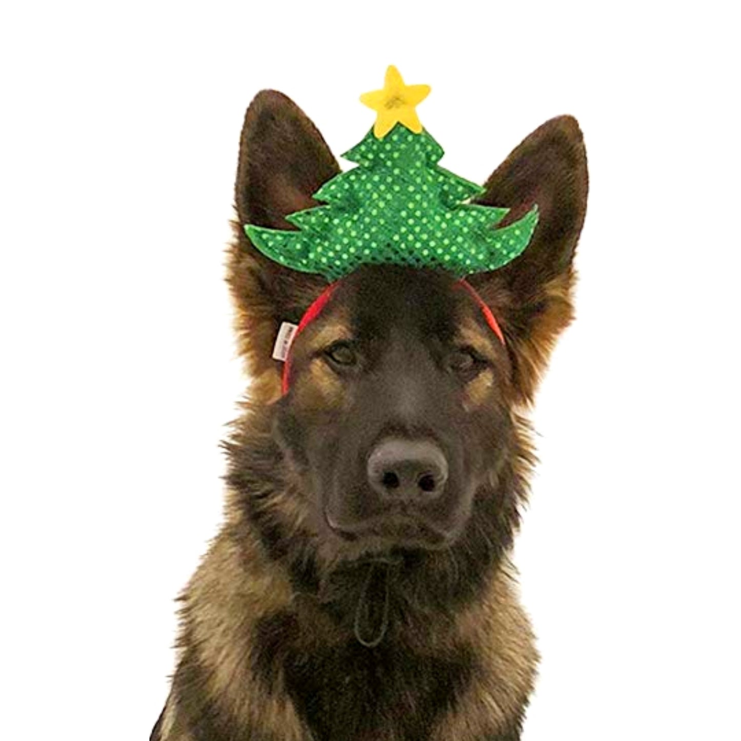 Midlee Christmas Tree Dog Headband