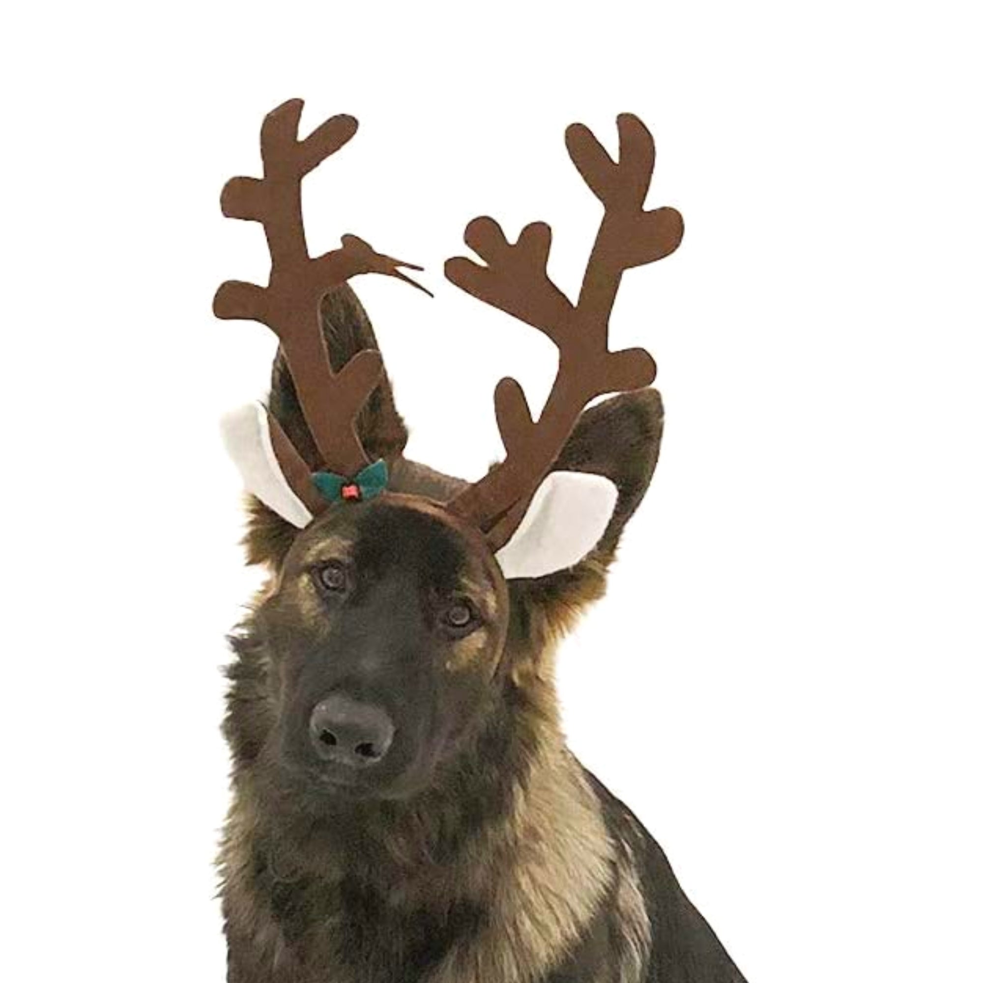 Pet on sale reindeer antlers