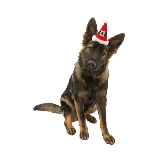 Midlee Dog Santa Hat Headband for Large Dogs