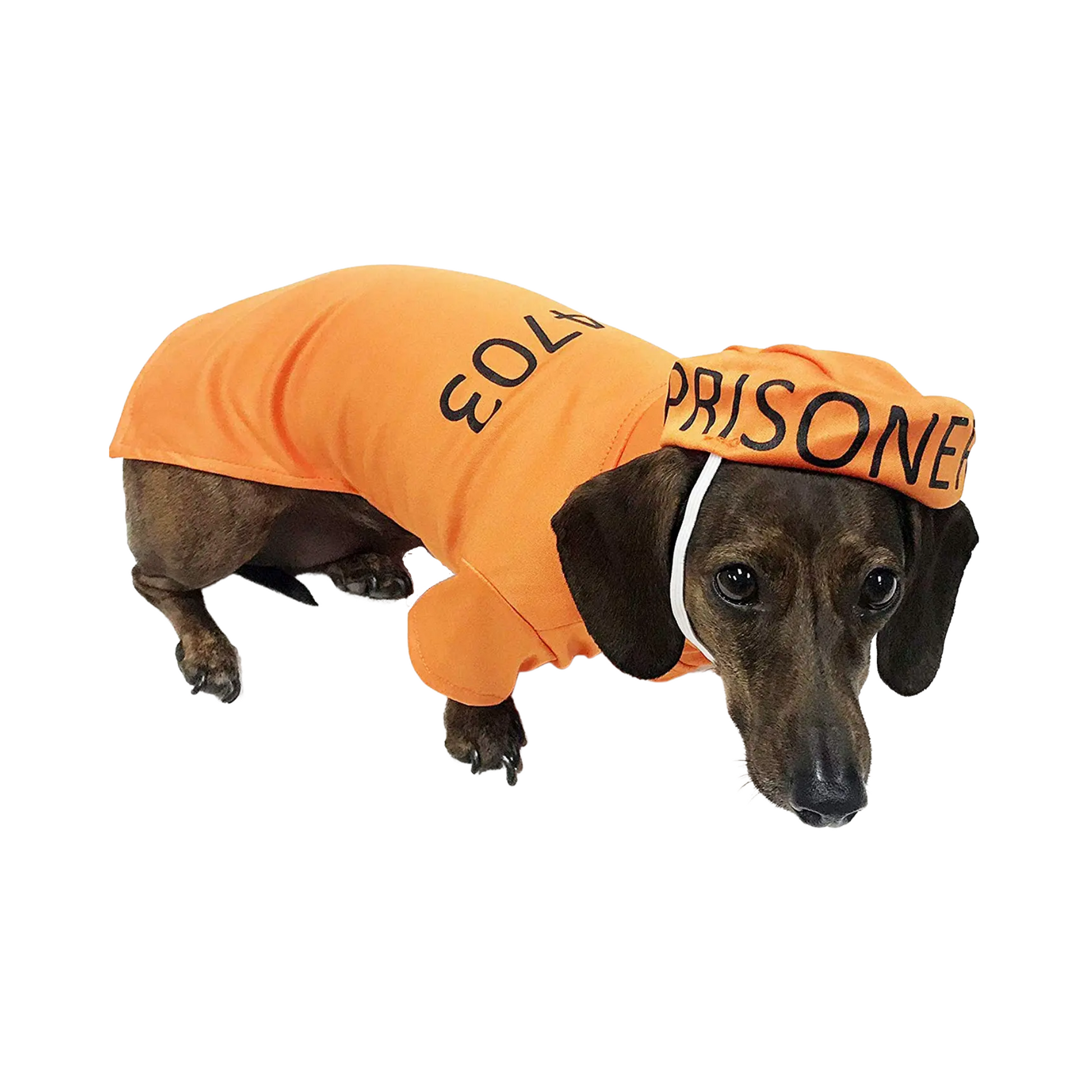 Dog inmate shop costume