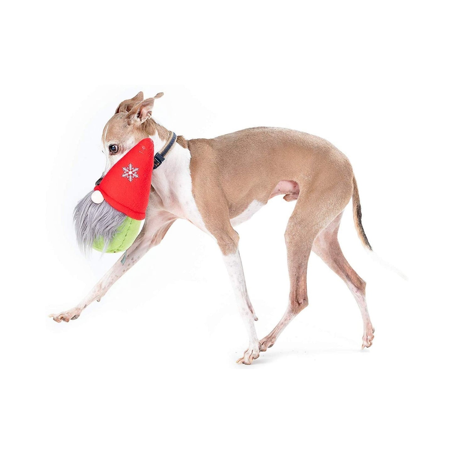 Midlee Gnome Hidden Ball Christmas Dog Toy