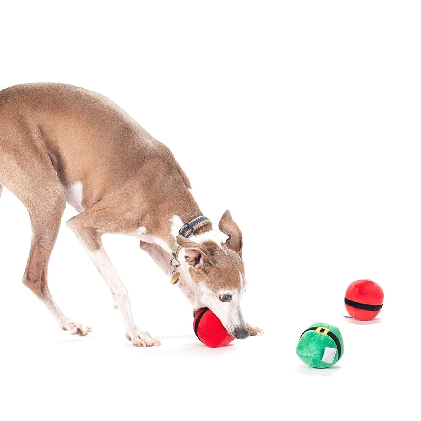 Midlee Christmas Plush Dog Balls- Pack of 6 Reindeer, Santa, Elf