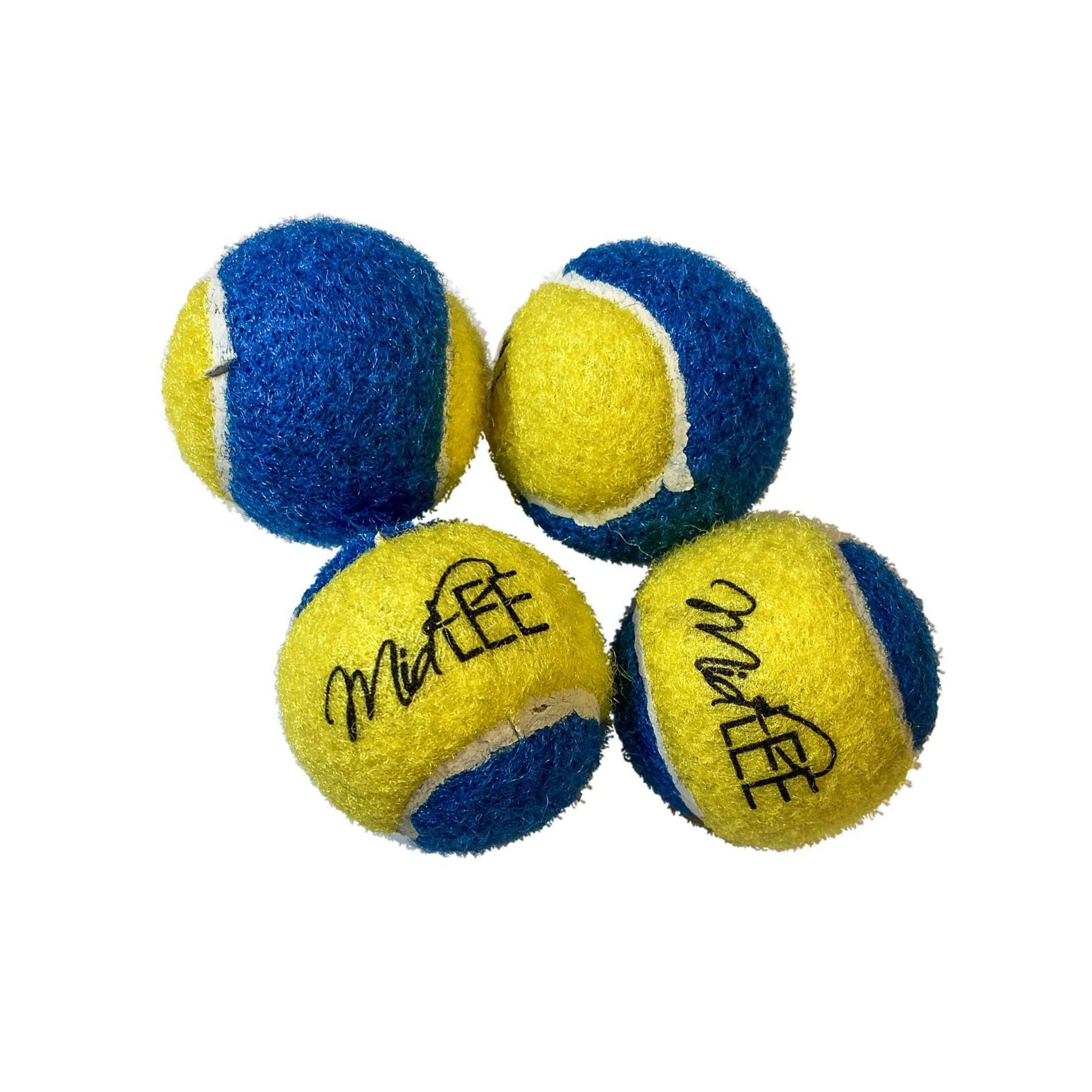 Blue tennis hot sale balls for dogs