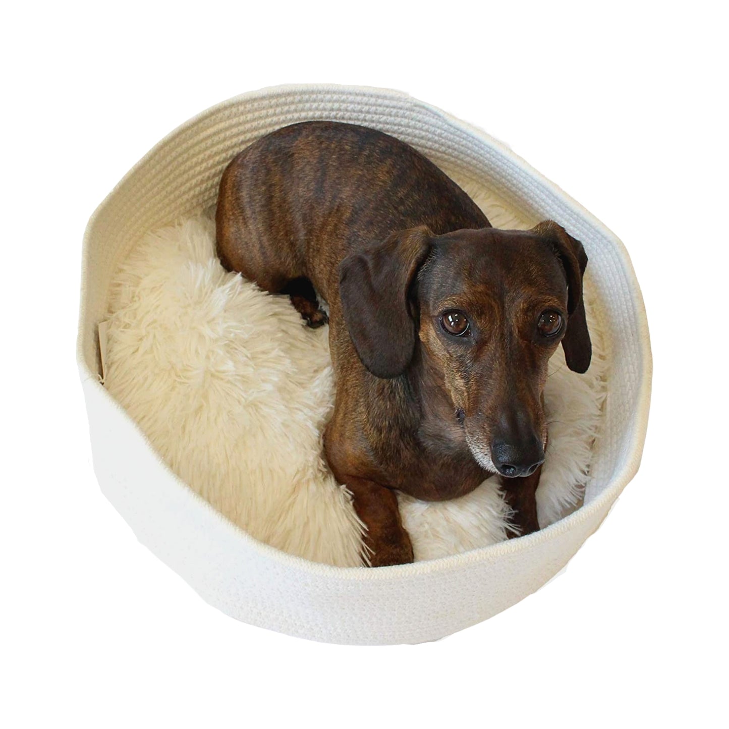 Midlee Round Rope Cat or Small Dog Bed with Pillow Insert