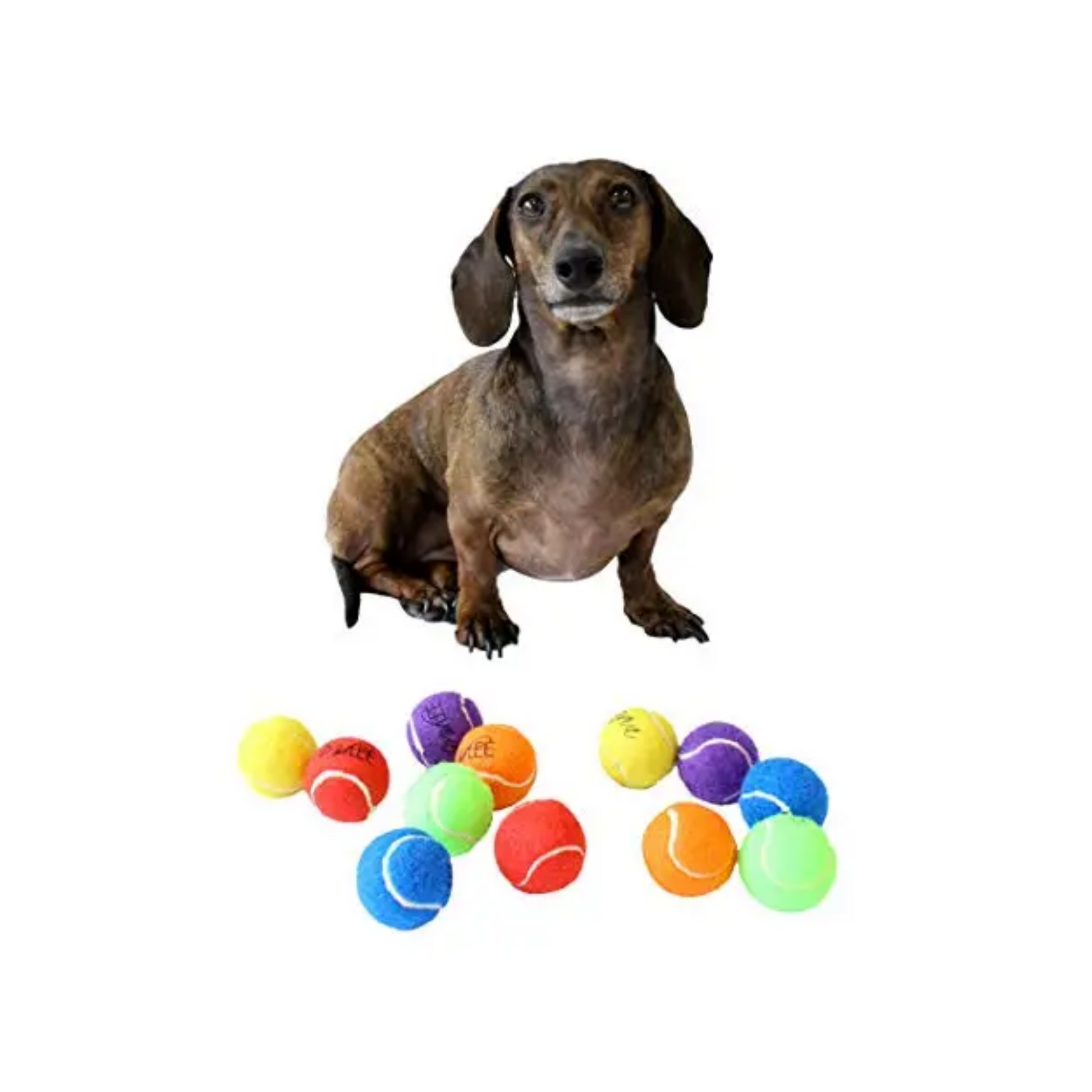 Mini online dog balls