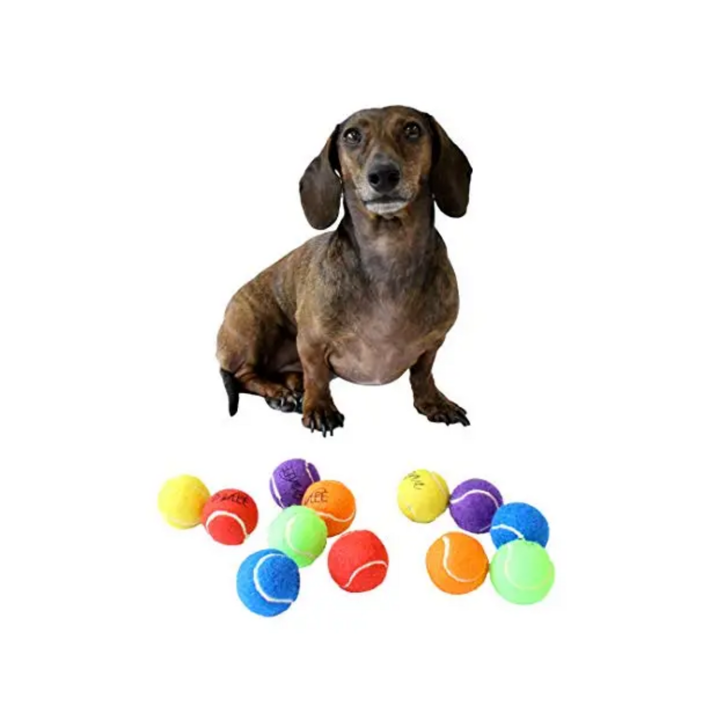 Midlee Mini 1.5" Dog Tennis Balls with Squeaker, Set of 12 Solid Colors