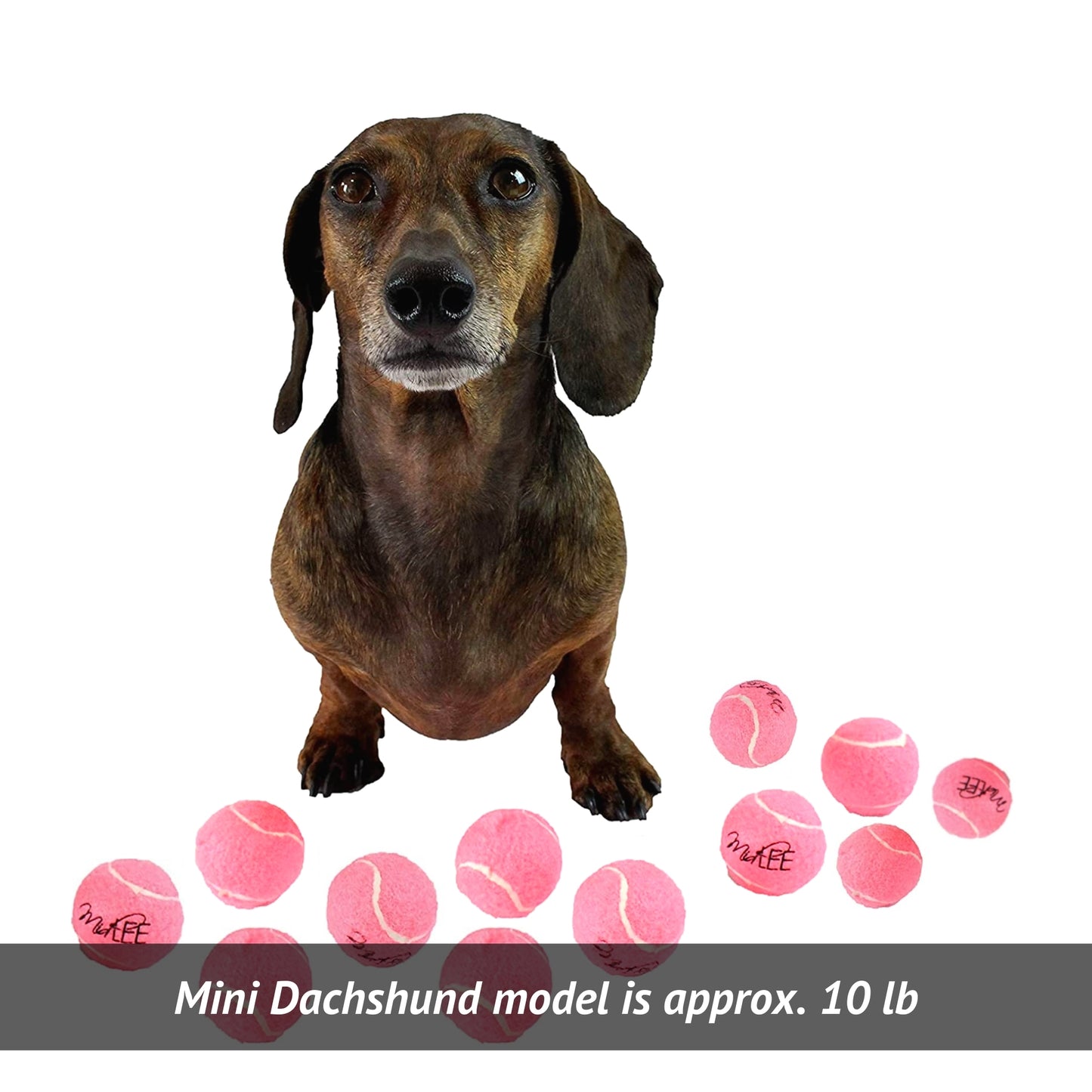 Midlee Pink 1.5" Mini Squeaky Dog Tennis Balls- Set of 12