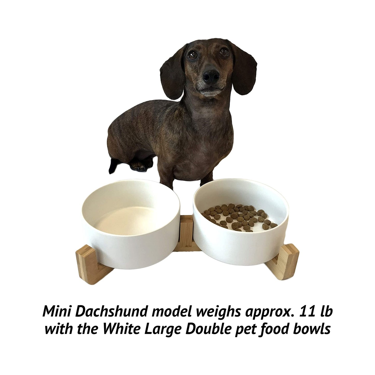 Midlee Modern Raised Pet Bowl on Stand (Double, White)
