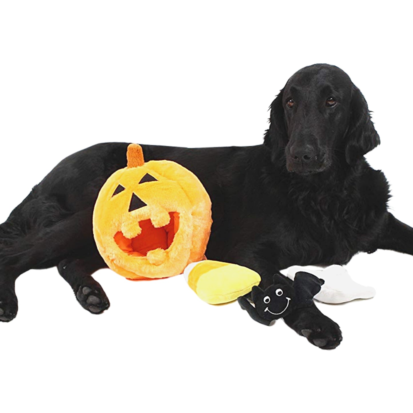 Midlee Pumpkin Find a Toy Halloween Dog Toy