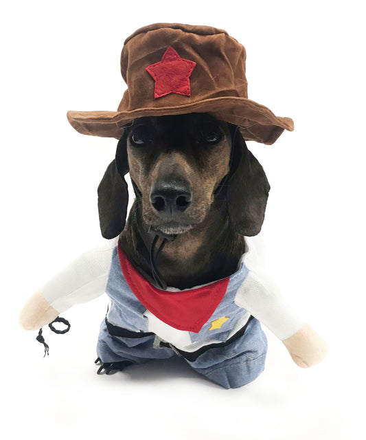 Midlee Fake Arms Cowboy Costume for Small Dogs