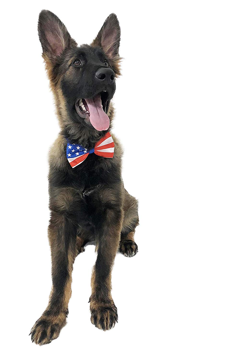 Midlee USA Flag Dog Bow Tie 14-18 Necks