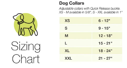 Up Country Bright Sunflower Dog Collar, Medium (12 to 18 inches) 1 inch Wide Width