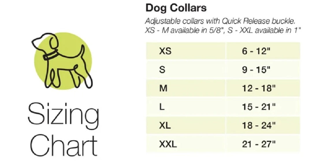 Up Country Daisy Pattern (Daisy Dog Collar, Medium (12 to 18 inches) 1 inch Wide Width)