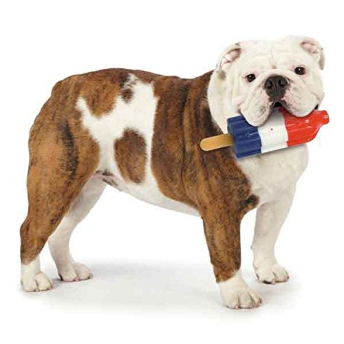 Cool Pup Dog Toy Rocket Pop Ice Cream Popsicle Shaped Frozen Water Summer Toys, Mini