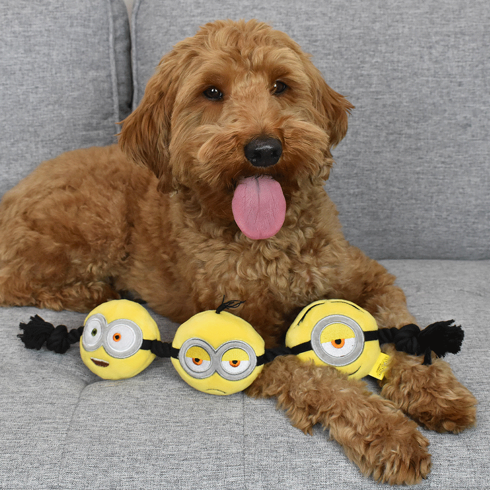 Multipet Minions 3-Head Rope Tug Dog Toy 17 in